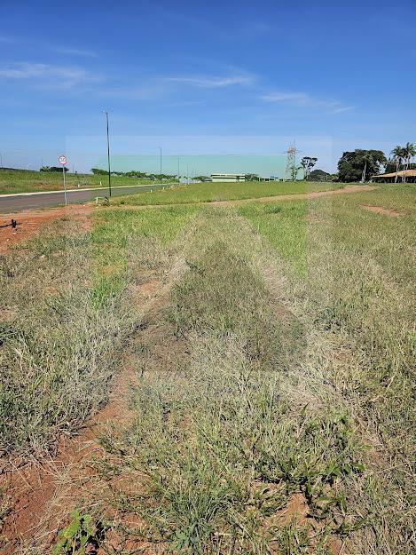 Terreno à venda, 377m² - Foto 6